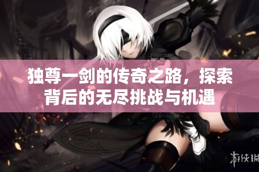 独尊一剑的传奇之路，探索背后的无尽挑战与机遇