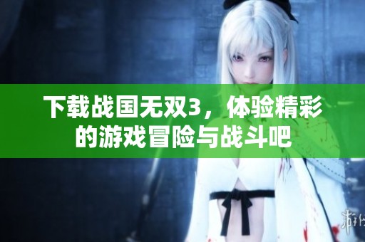 下载战国无双3，体验精彩的游戏冒险与战斗吧