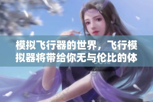 模拟飞行器的世界，飞行模拟器将带给你无与伦比的体验
