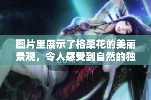 图片里展示了格桑花的美丽景观，令人感受到自然的独特魅力。
