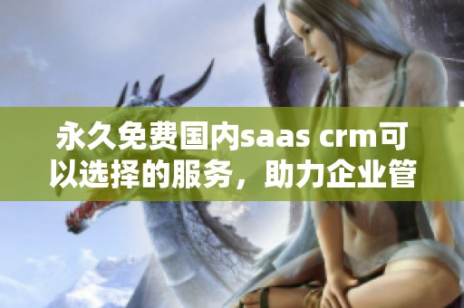 永久免费国内saas crm可以选择的服务，助力企业管理和发展。