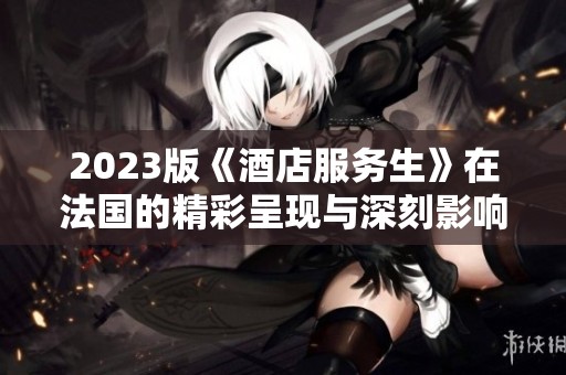2023版《酒店服务生》在法国的精彩呈现与深刻影响值得关注