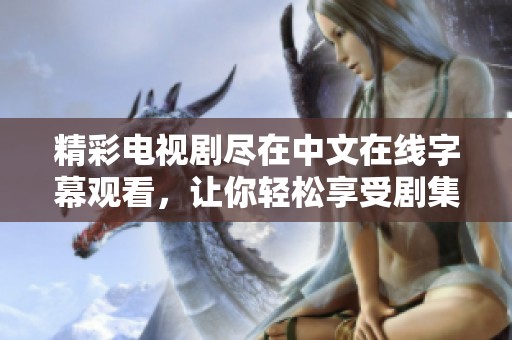 精彩电视剧尽在中文在线字幕观看，让你轻松享受剧集魅力和情节的每个细节