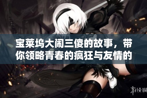 宝莱坞大闹三傻的故事，带你领略青春的疯狂与友情的力量