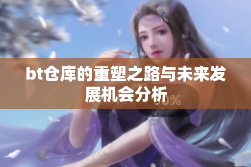 bt仓库的重塑之路与未来发展机会分析