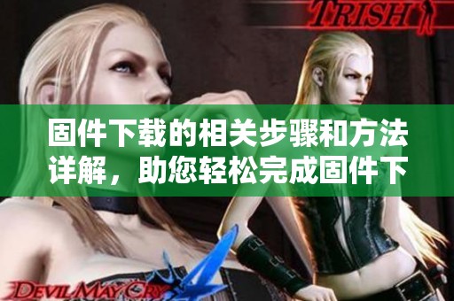 固件下载的相关步骤和方法详解，助您轻松完成固件下载任务