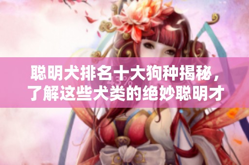 聪明犬排名十大狗种揭秘，了解这些犬类的绝妙聪明才智！