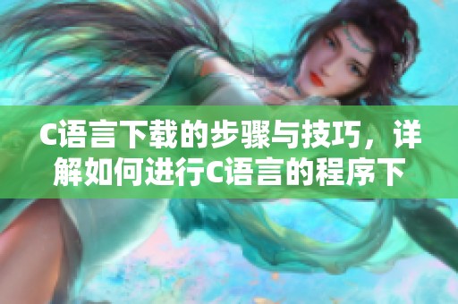C语言下载的步骤与技巧，详解如何进行C语言的程序下载