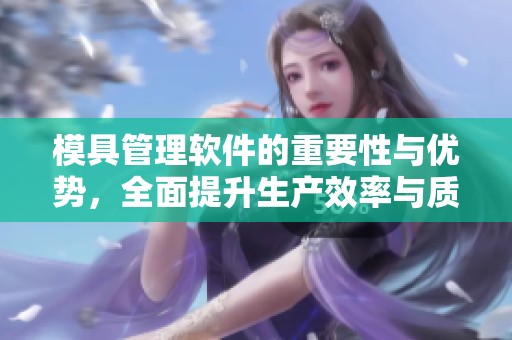 模具管理软件的重要性与优势，全面提升生产效率与质量管理