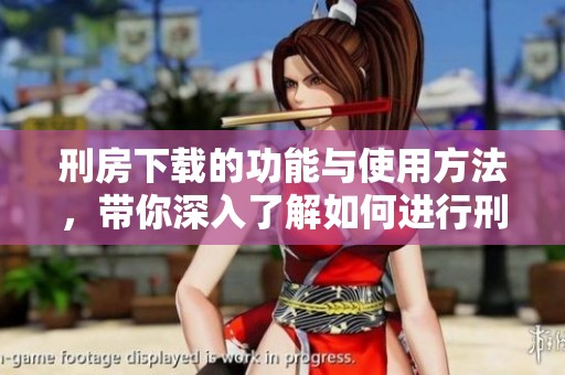 刑房下载的功能与使用方法，带你深入了解如何进行刑房的下载操作