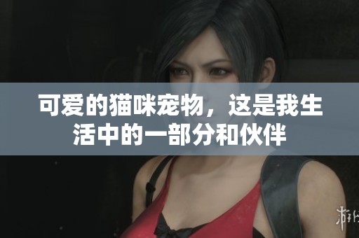 可爱的猫咪宠物，这是我生活中的一部分和伙伴