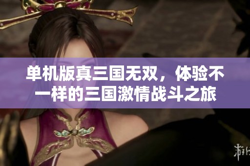 单机版真三国无双，体验不一样的三国激情战斗之旅