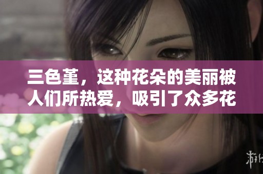 三色堇，这种花朵的美丽被人们所热爱，吸引了众多花卉爱好者。