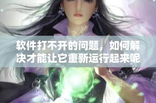 软件打不开的问题，如何解决才能让它重新运行起来呢