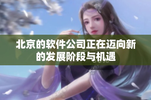 北京的软件公司正在迈向新的发展阶段与机遇