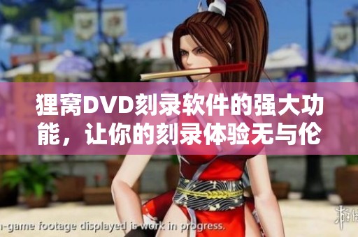 狸窝DVD刻录软件的强大功能，让你的刻录体验无与伦比