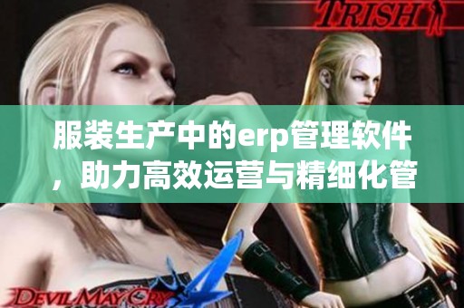 服装生产中的erp管理软件，助力高效运营与精细化管理的解决方案