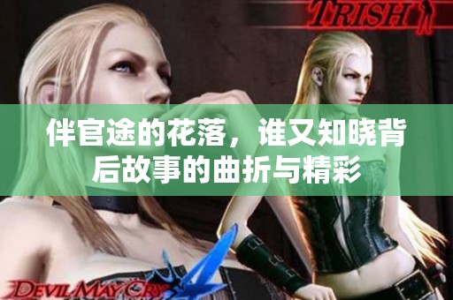 伴官途的花落，谁又知晓背后故事的曲折与精彩