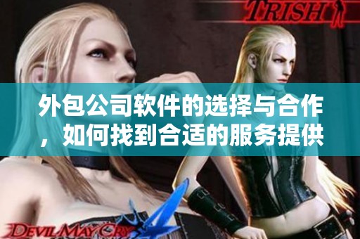 外包公司软件的选择与合作，如何找到合适的服务提供商