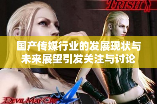 国产传媒行业的发展现状与未来展望引发关注与讨论