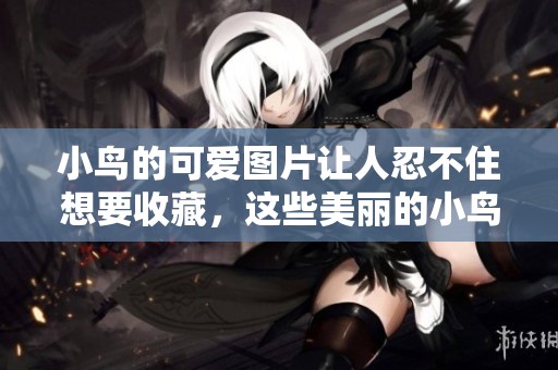小鸟的可爱图片让人忍不住想要收藏，这些美丽的小鸟形象惹人喜爱