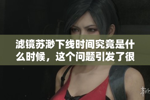 滤镜苏渺下线时间究竟是什么时候，这个问题引发了很多人的关注
