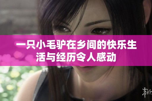 一只小毛驴在乡间的快乐生活与经历令人感动