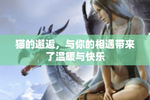 猫的邂逅，与你的相遇带来了温暖与快乐
