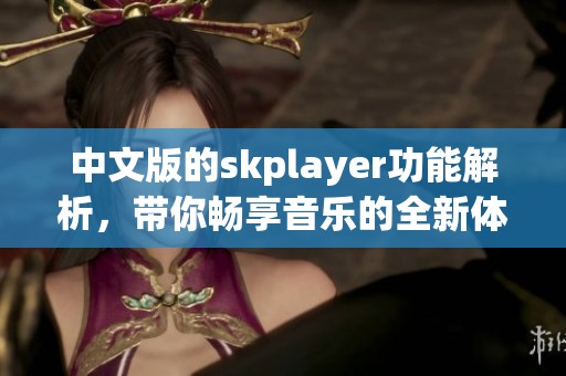 中文版的skplayer功能解析，带你畅享音乐的全新体验