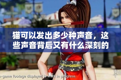 猫可以发出多少种声音，这些声音背后又有什么深刻的含义呢