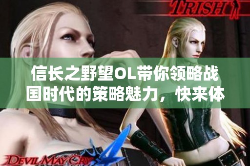 信长之野望OL带你领略战国时代的策略魅力，快来体验这款经典佳作！