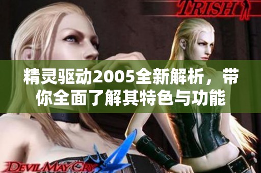 精灵驱动2005全新解析，带你全面了解其特色与功能
