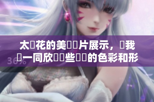 太陽花的美麗圖片展示，讓我們一同欣賞這些絢麗的色彩和形狀