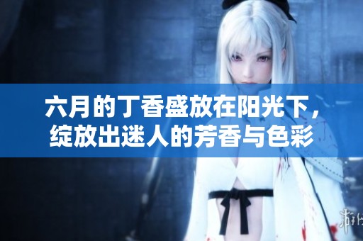 六月的**盛放在阳光下，绽放出迷人的芳香与色彩