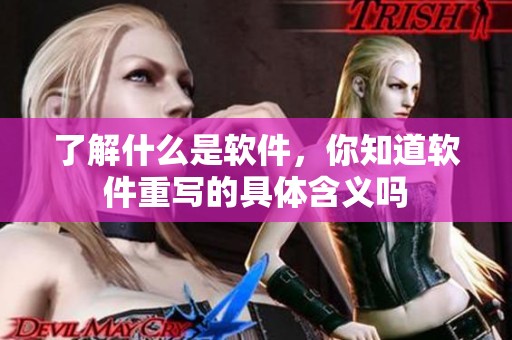 了解什么是软件，你知道软件重写的具体含义吗