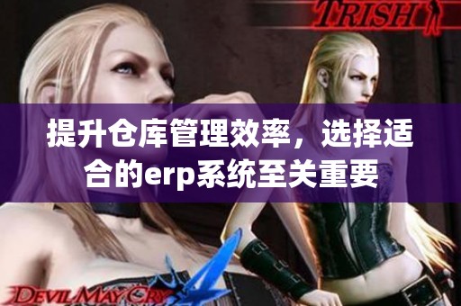 提升仓库管理效率，选择适合的erp系统至关重要