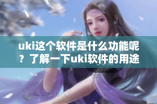 uki这个软件是什么功能呢？了解一下uki软件的用途与特点