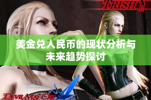 美金兑人民币的现状分析与未来趋势探讨