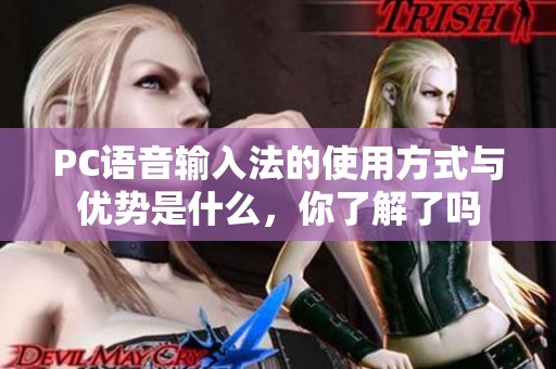 PC语音输入法的使用方式与优势是什么，你了解了吗