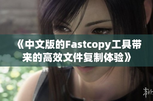 《中文版的Fastcopy工具带来的高效文件复制体验》