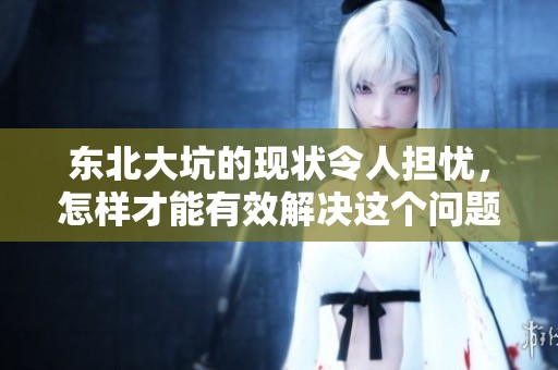 东北大坑的现状令人担忧，怎样才能有效解决这个问题呢