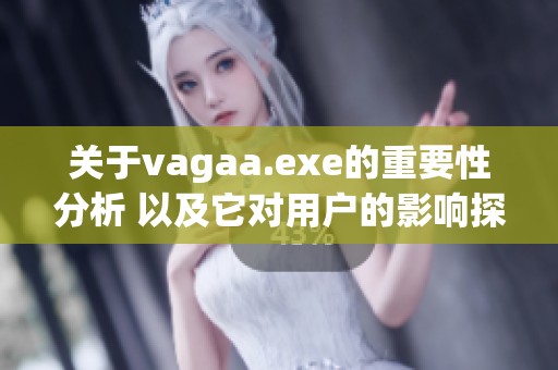 关于vagaa.exe的重要性分析 以及它对用户的影响探讨