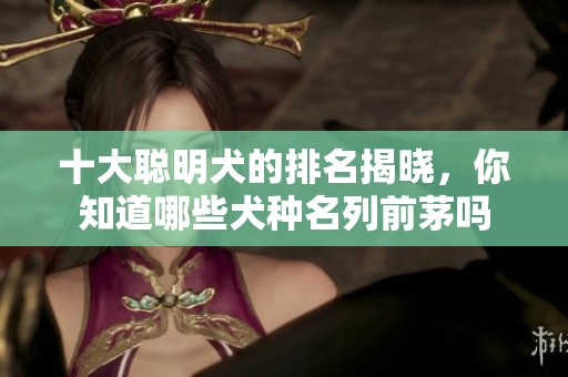 十大聪明犬的排名揭晓，你知道哪些犬种名列前茅吗