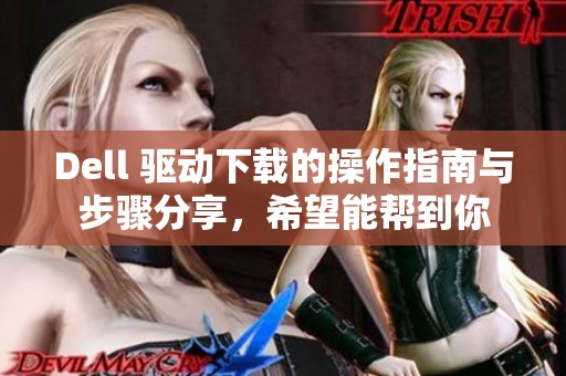 Dell 驱动下载的操作指南与步骤分享，希望能帮到你