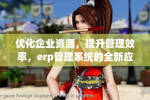 优化企业资源，提升管理效率，erp管理系统的全新应用探索