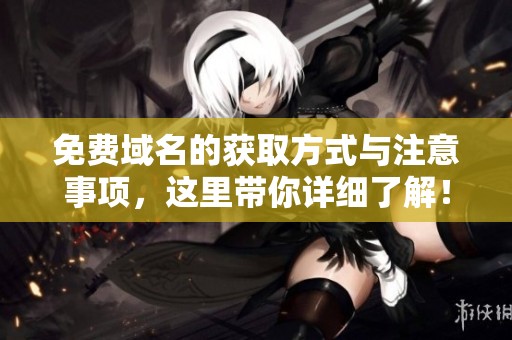 免费域名的获取方式与注意事项，这里带你详细了解！
