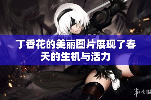 **花的美丽图片展现了春天的生机与活力