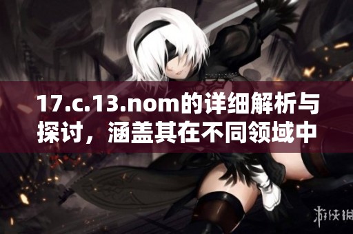 17.c.13.nom的详细解析与探讨，涵盖其在不同领域中的应用与影响