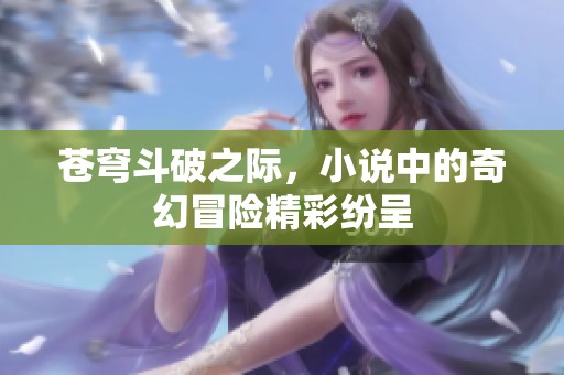 苍穹斗破之际，小说中的奇幻冒险精彩纷呈