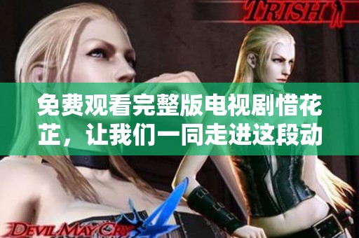 免费观看完整版电视剧惜花芷，让我们一同走进这段动人的故事吧